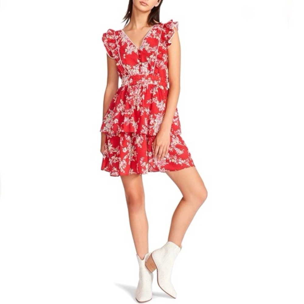Betsey Johnson Red‎ Floral Cotton Bush Gardens Seersucker Tiered Mini Dress M